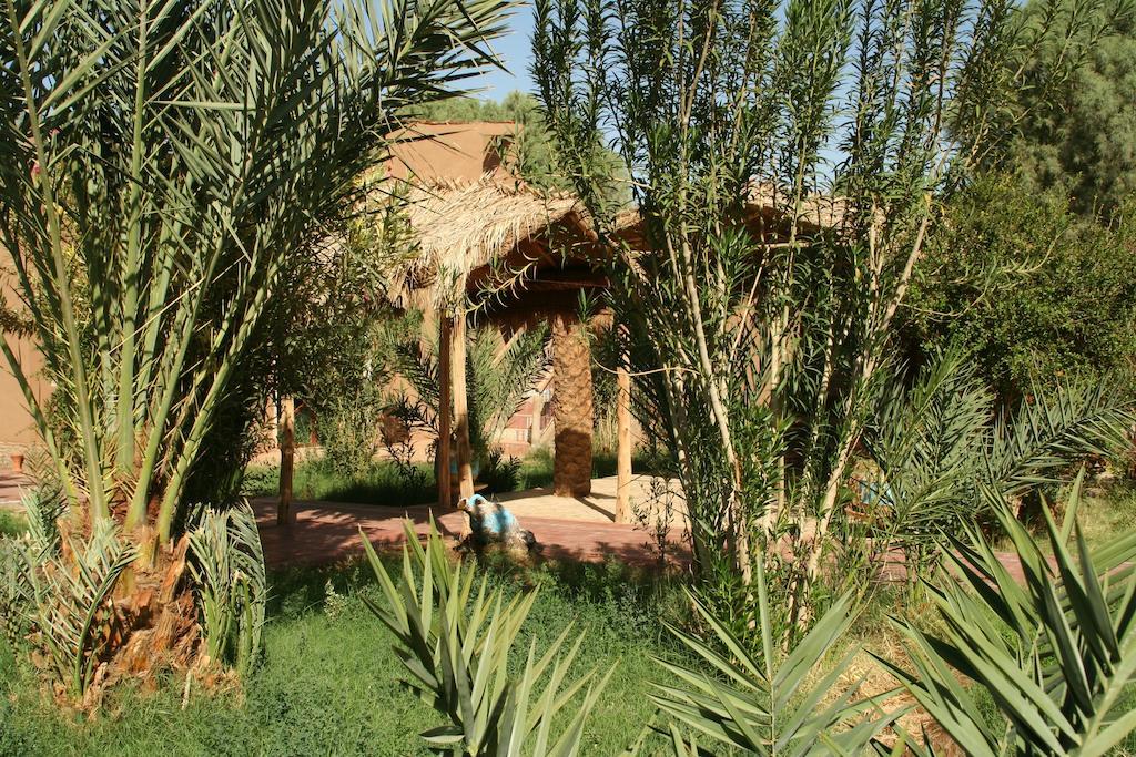 Bed and Breakfast Hamada Du Draa M'Hamid Esterno foto